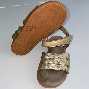 Pediped Sandals
